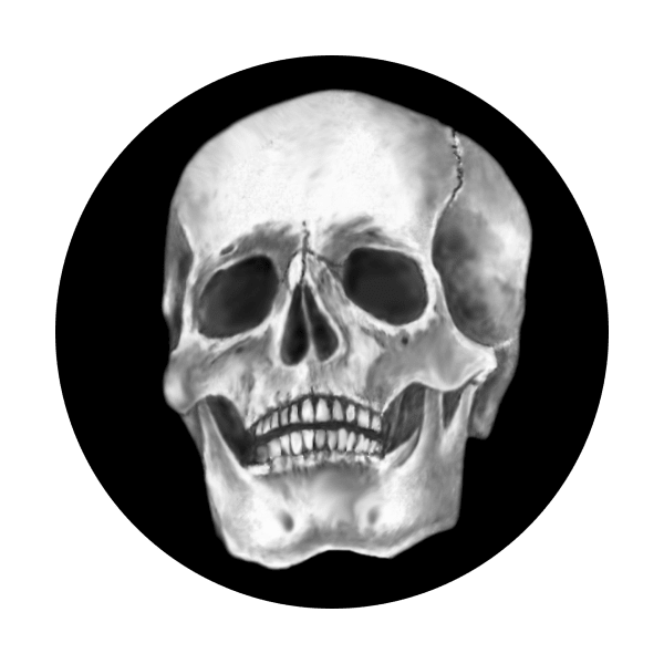 Skull - Apollo Gobos