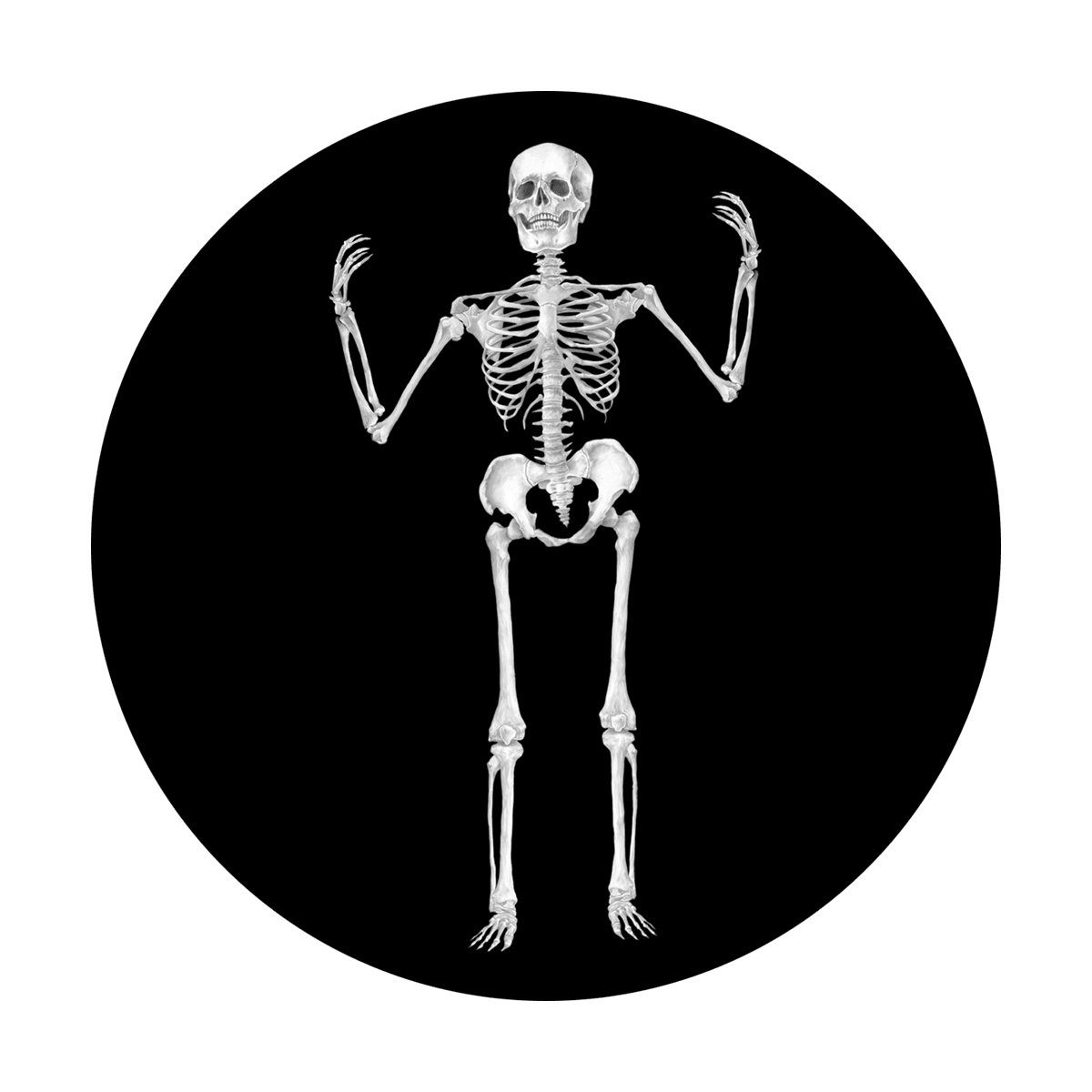 Skeleton - Apollo Gobos
