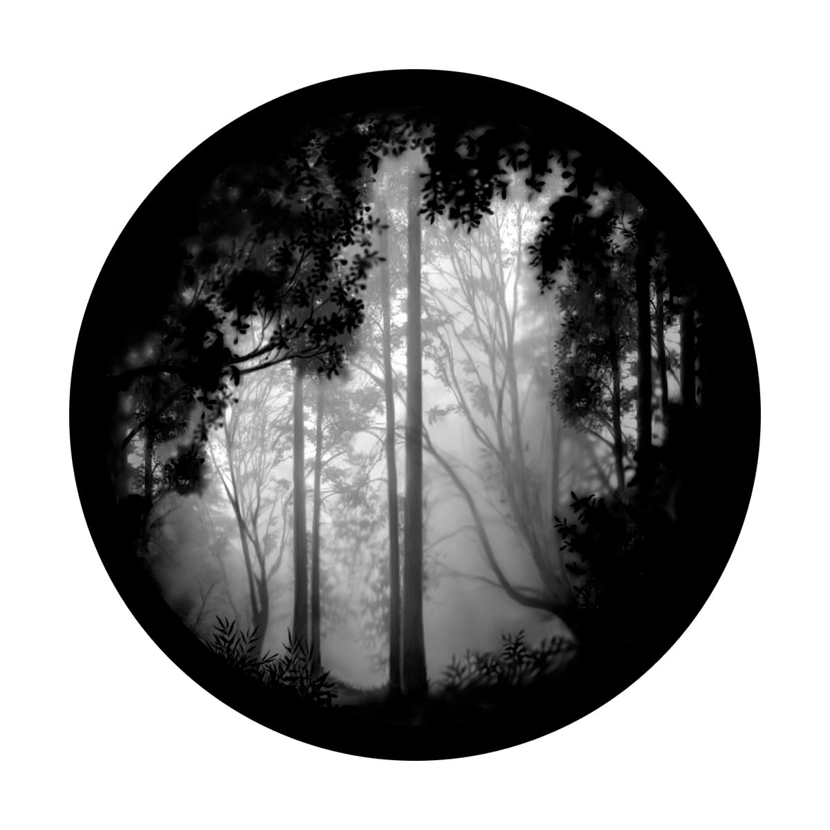 Forest Misty - Apollo Gobos