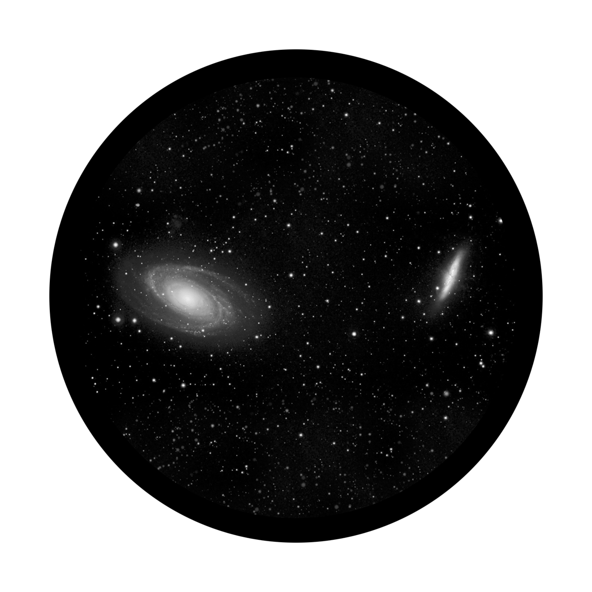Dual Galaxies