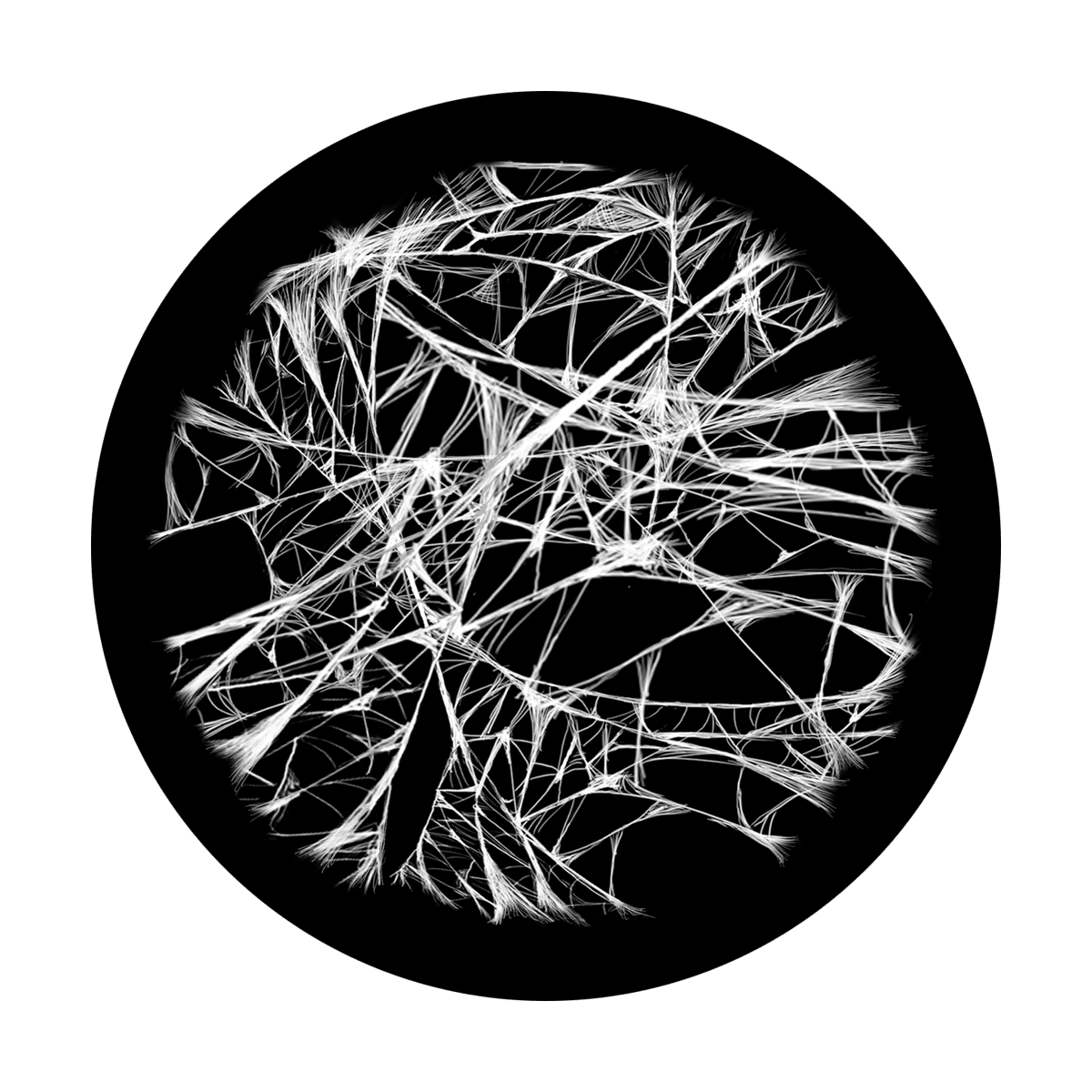 Spider Web - Apollo Gobos