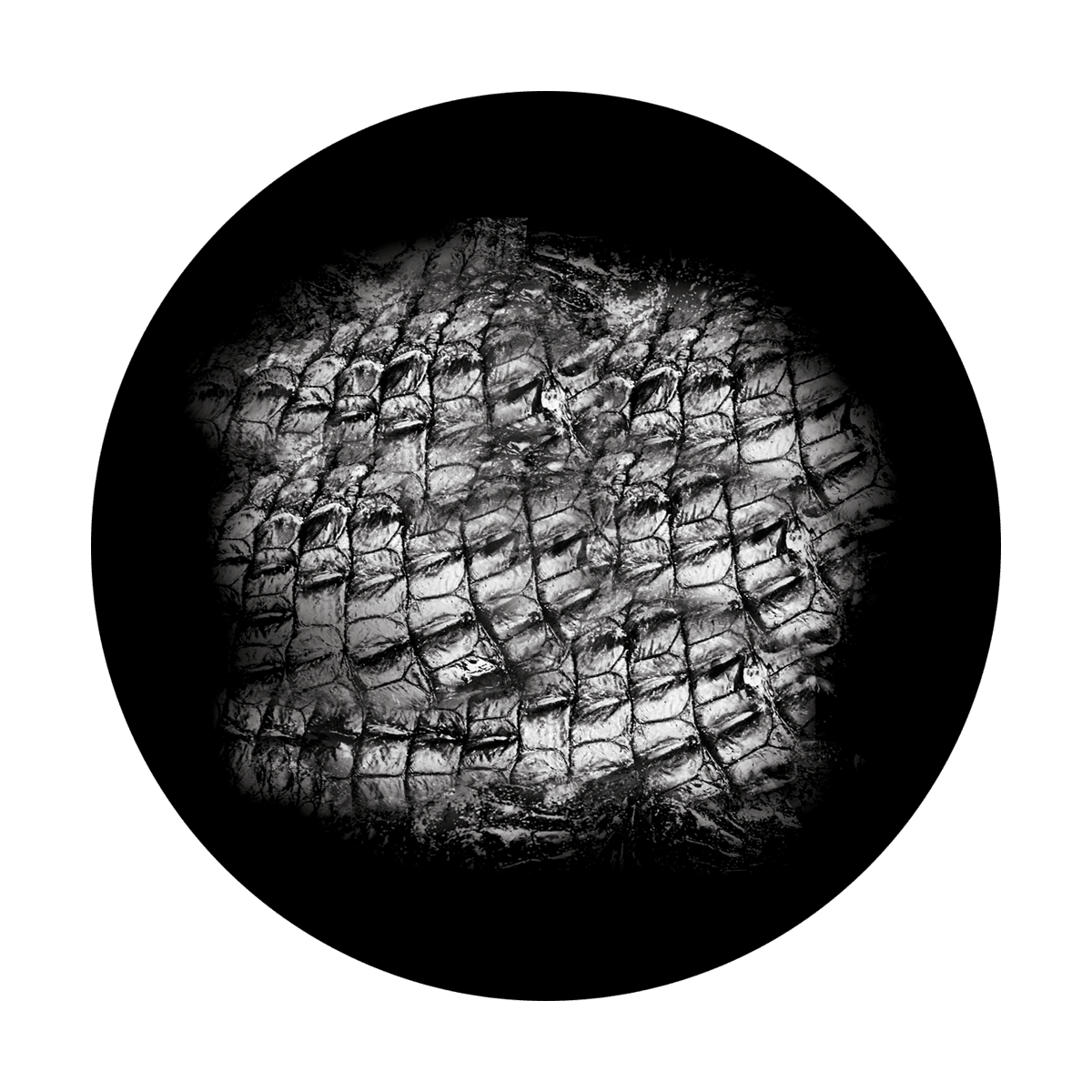 Gator Skin - Apollo Gobos