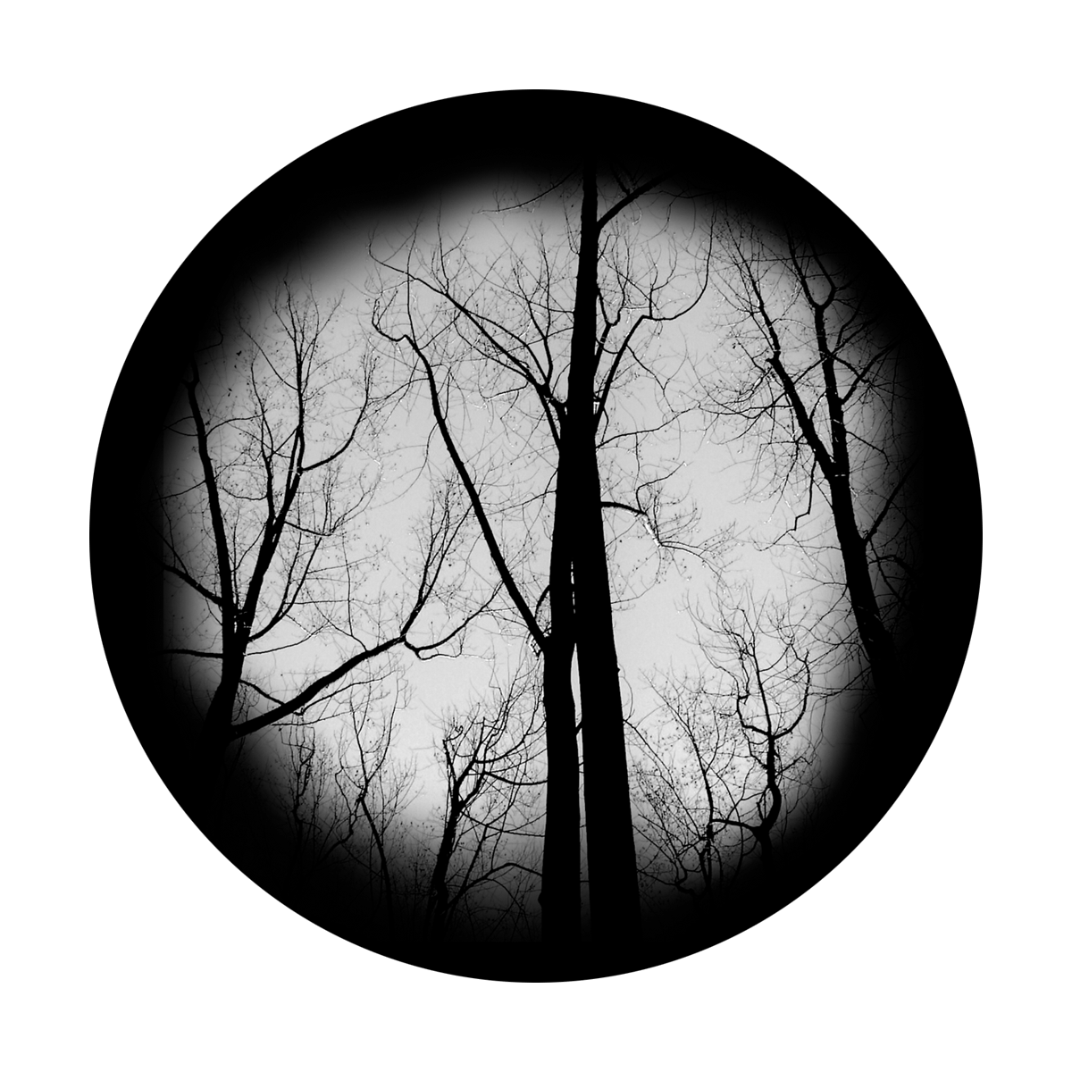 Haunted Forest