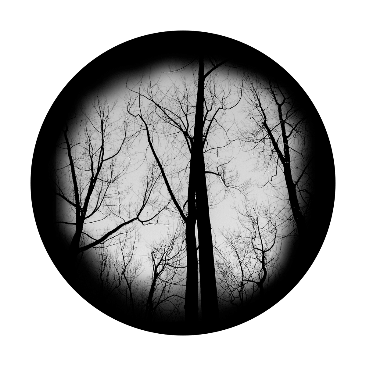 Haunted Forest - Apollo Gobos