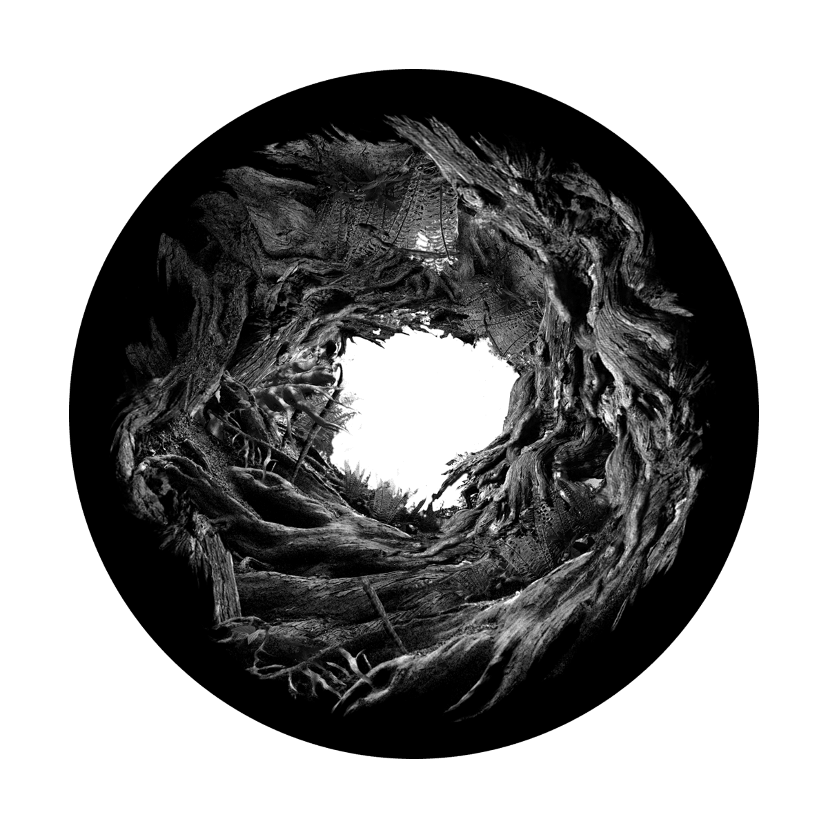 Spooky Entrance - Apollo Gobos