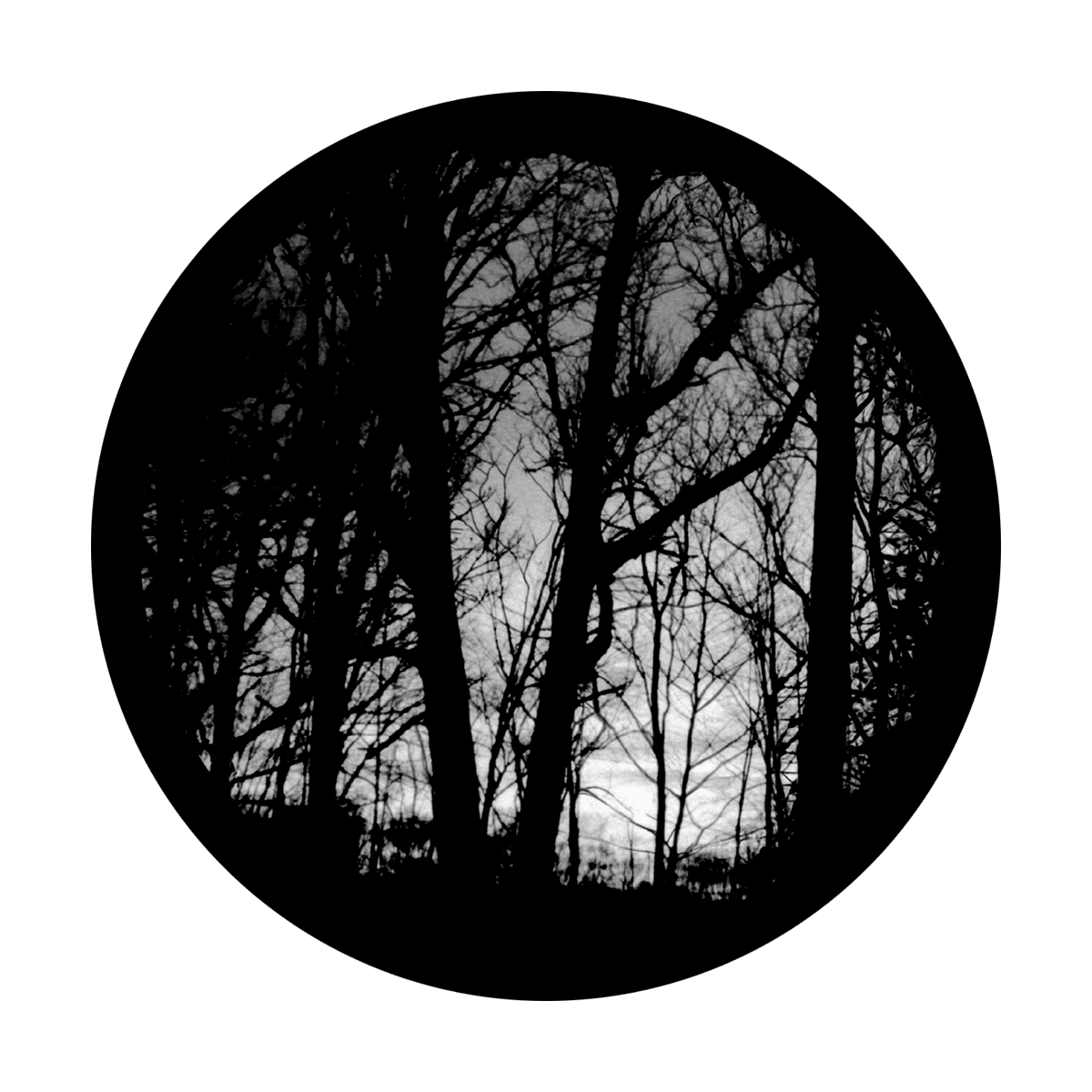 Eerie Forest - Apollo Gobos