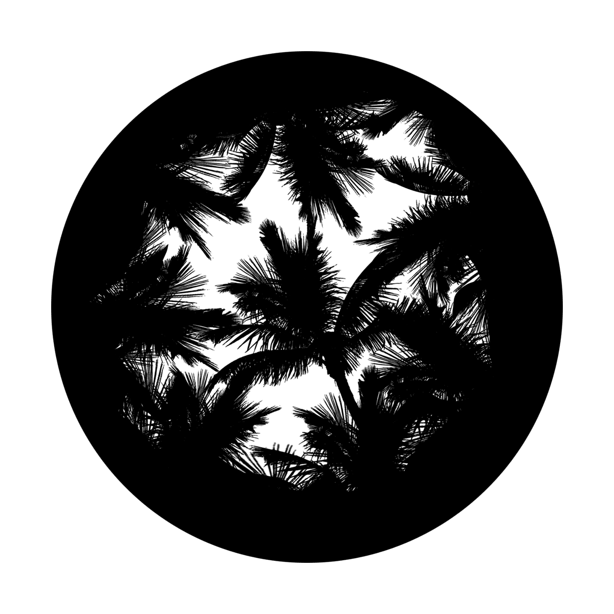 Tropical Palms - Apollo Gobos
