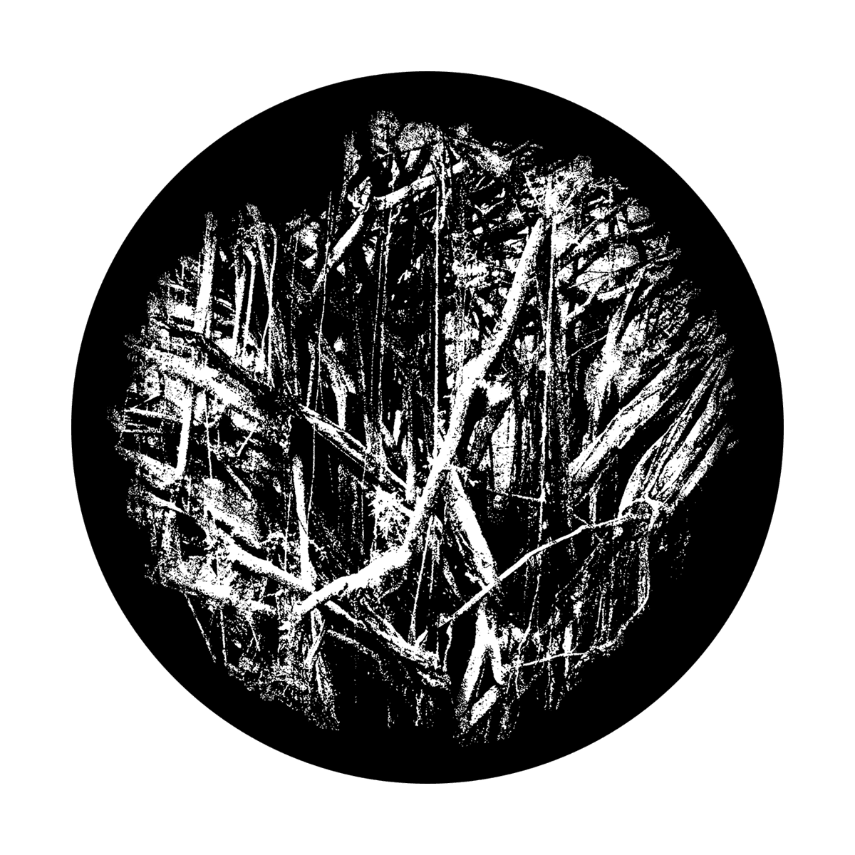 Tree Roots - Apollo Gobos