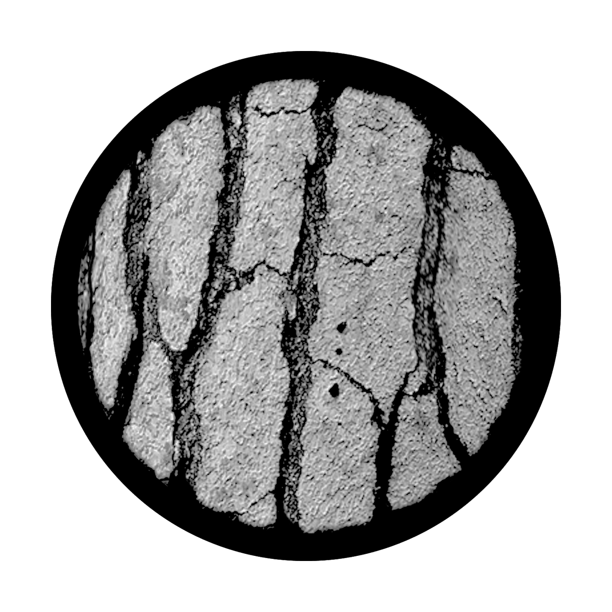 Tree Bark - Apollo Gobos