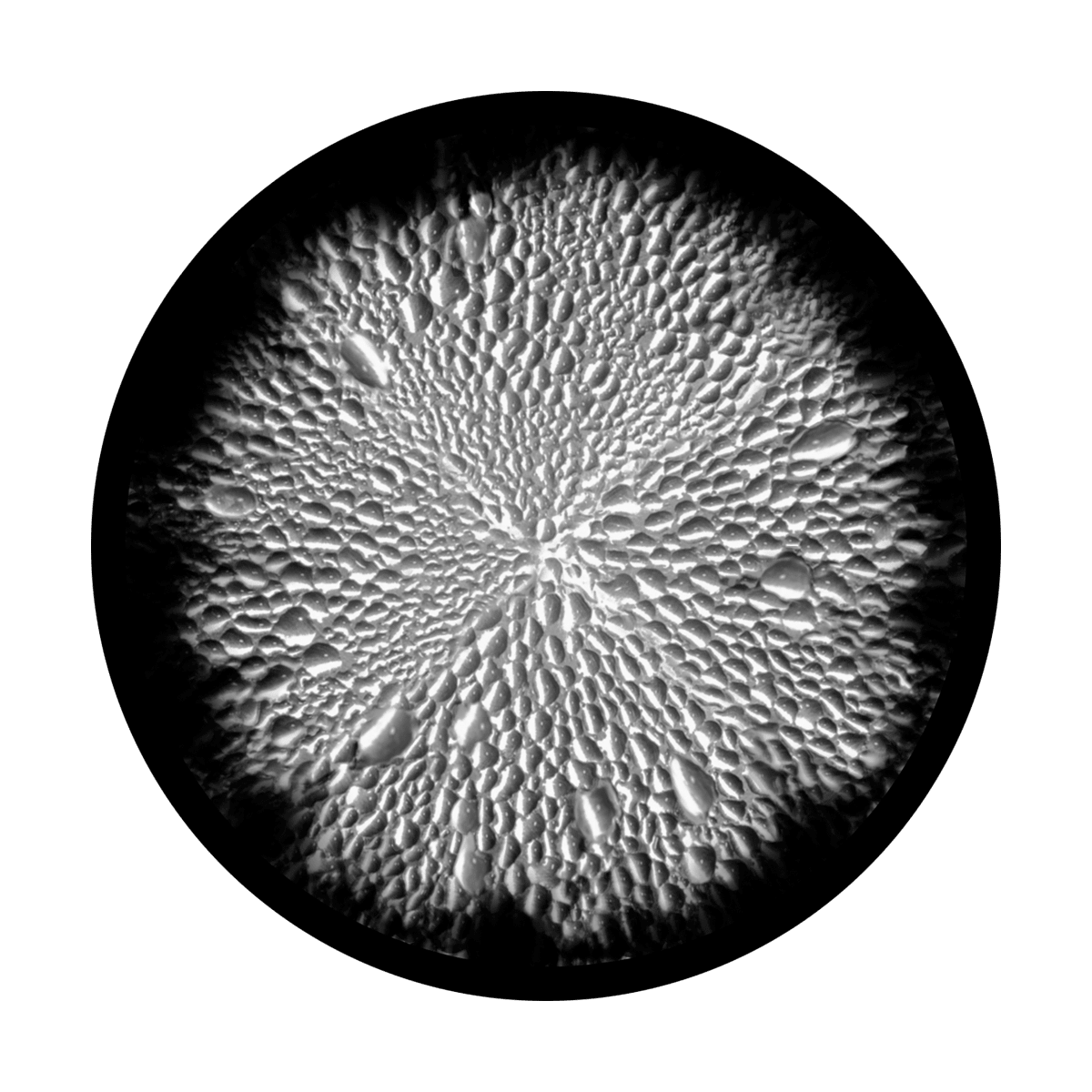Radial Dew - Apollo Gobos