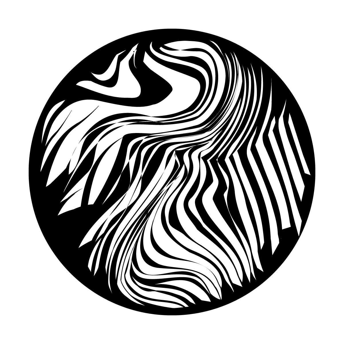 Wild Zebra Print