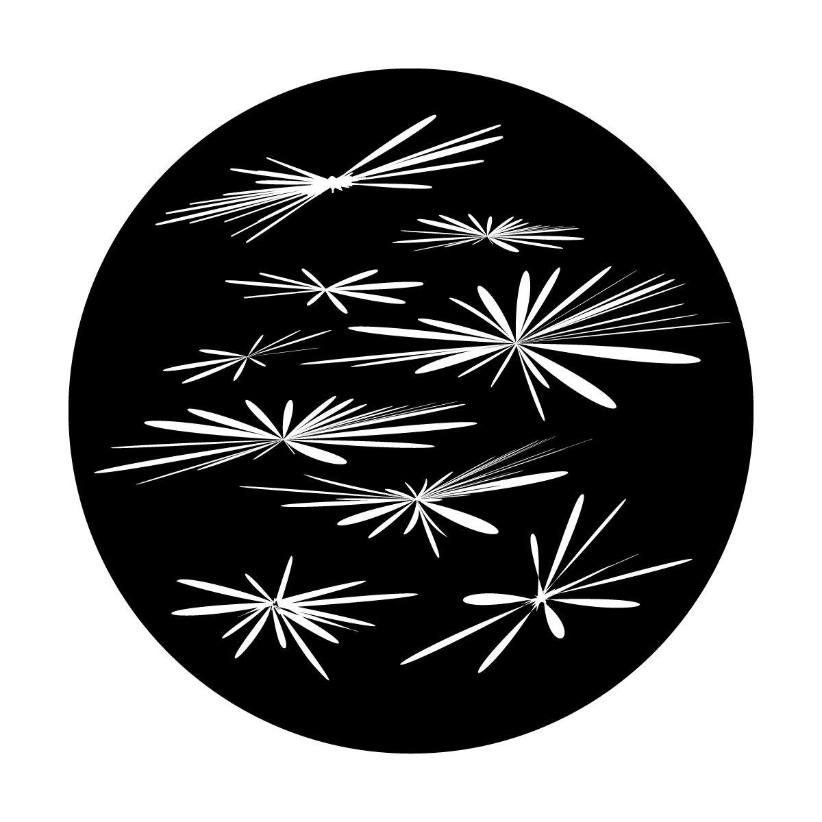 Flowers in Flight