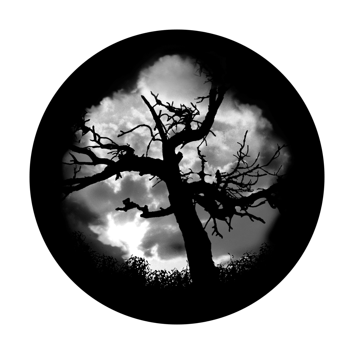 Haunted Tree - Apollo Gobos