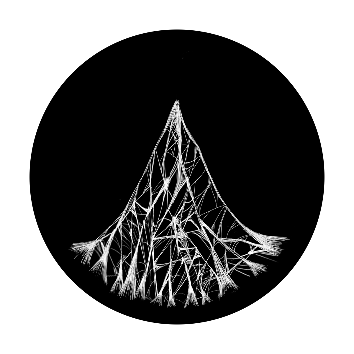 Sticky Web