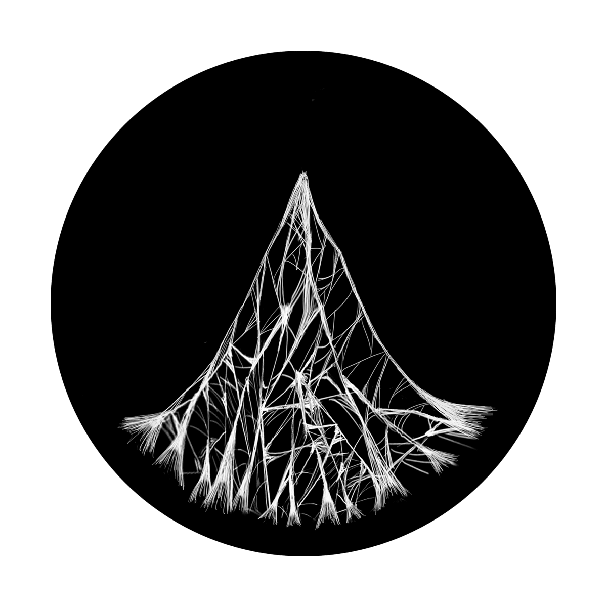 Sticky Web - Apollo Gobos