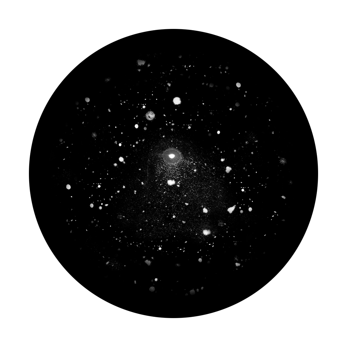 Midnight Snowfall