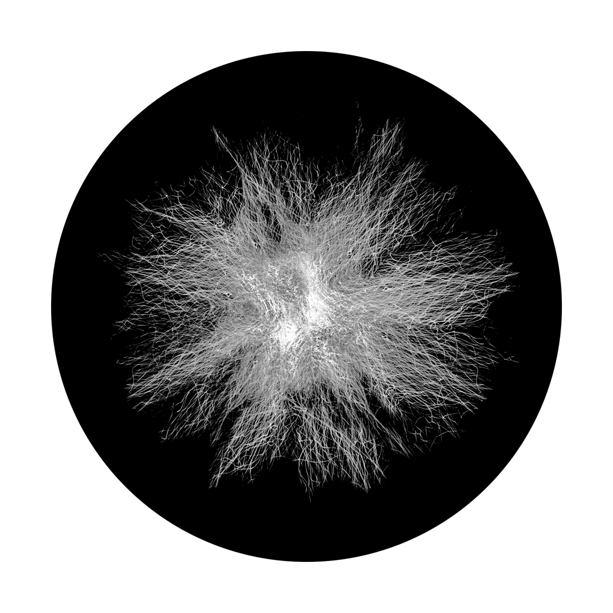 Static Dandelion
