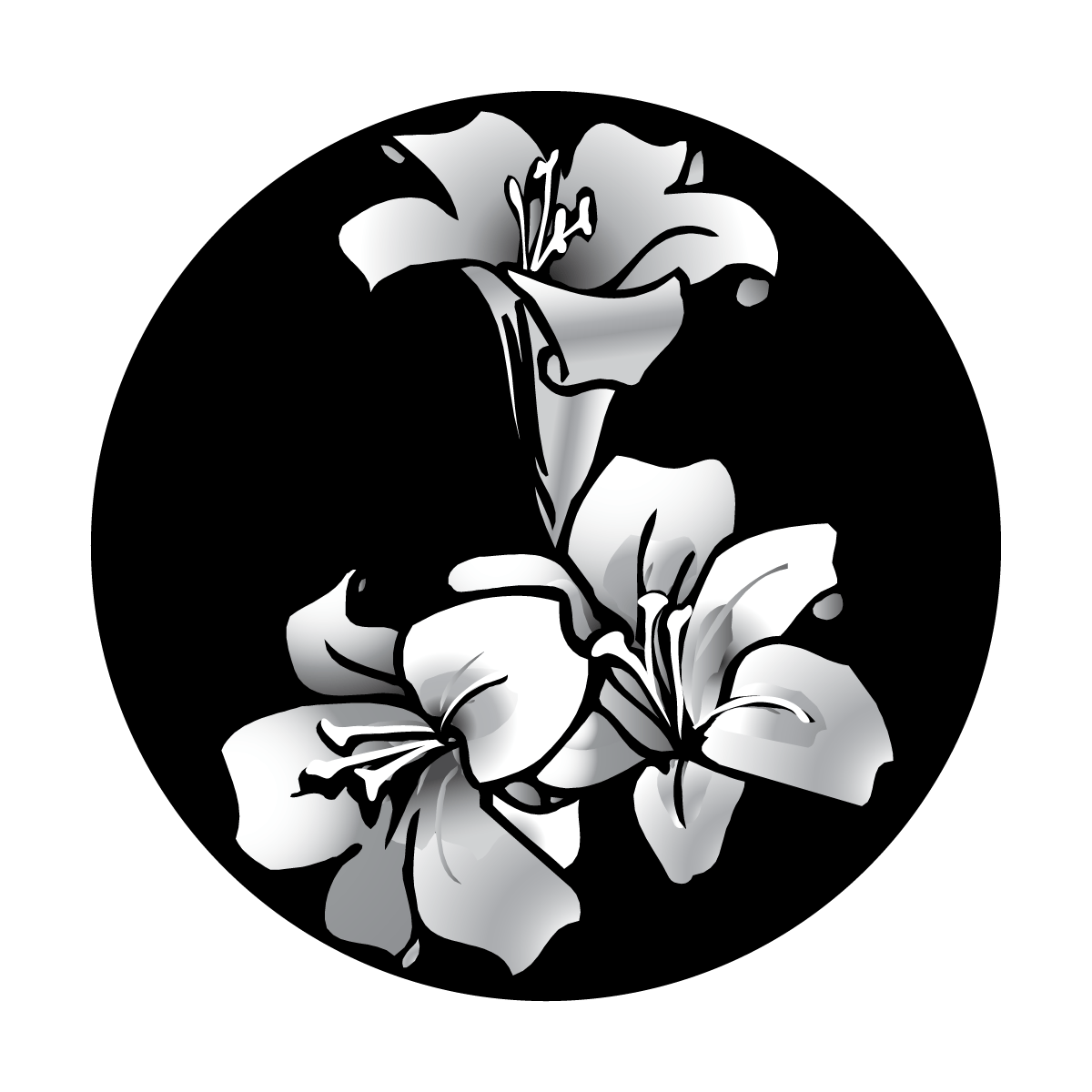 Easter Lily