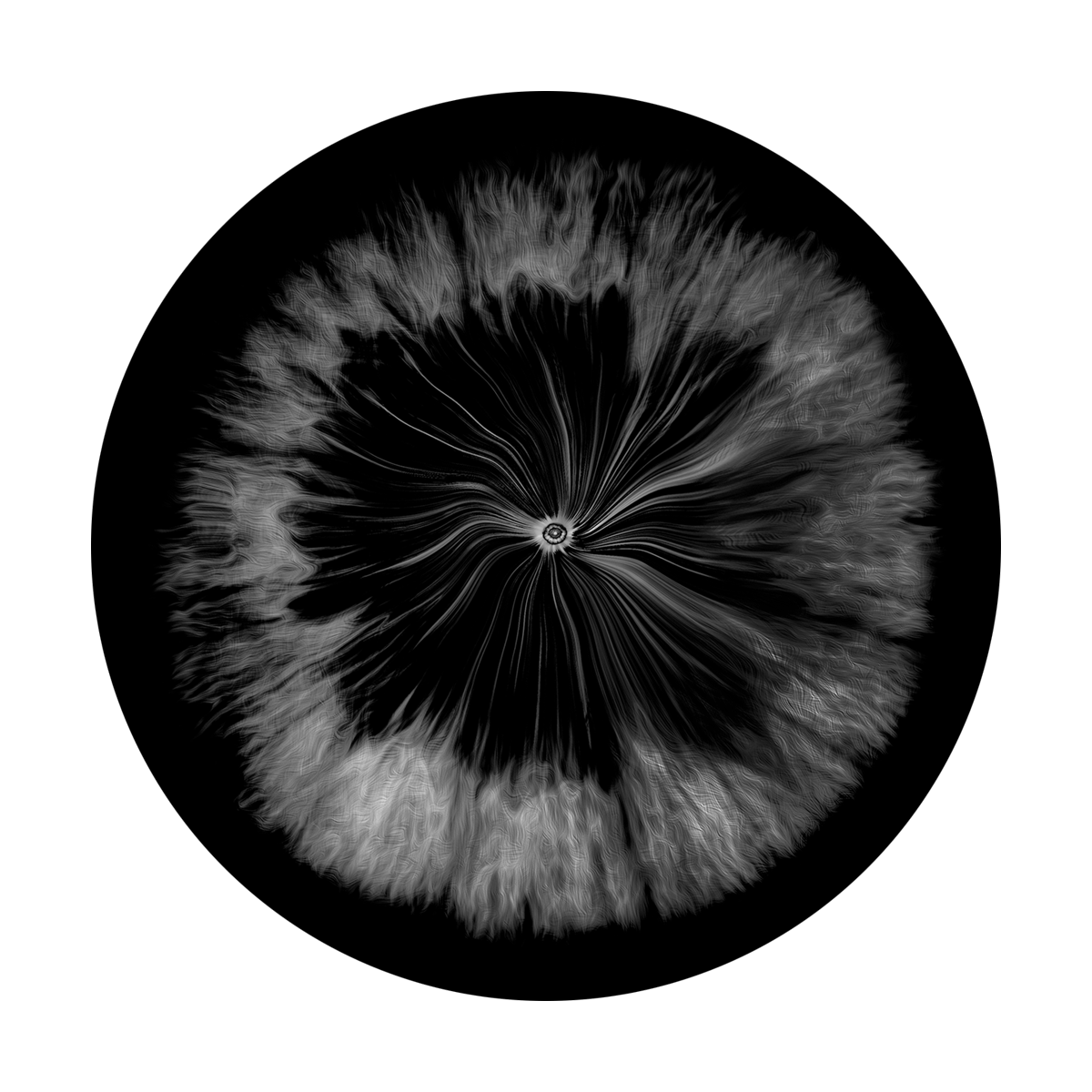 Black Implosion