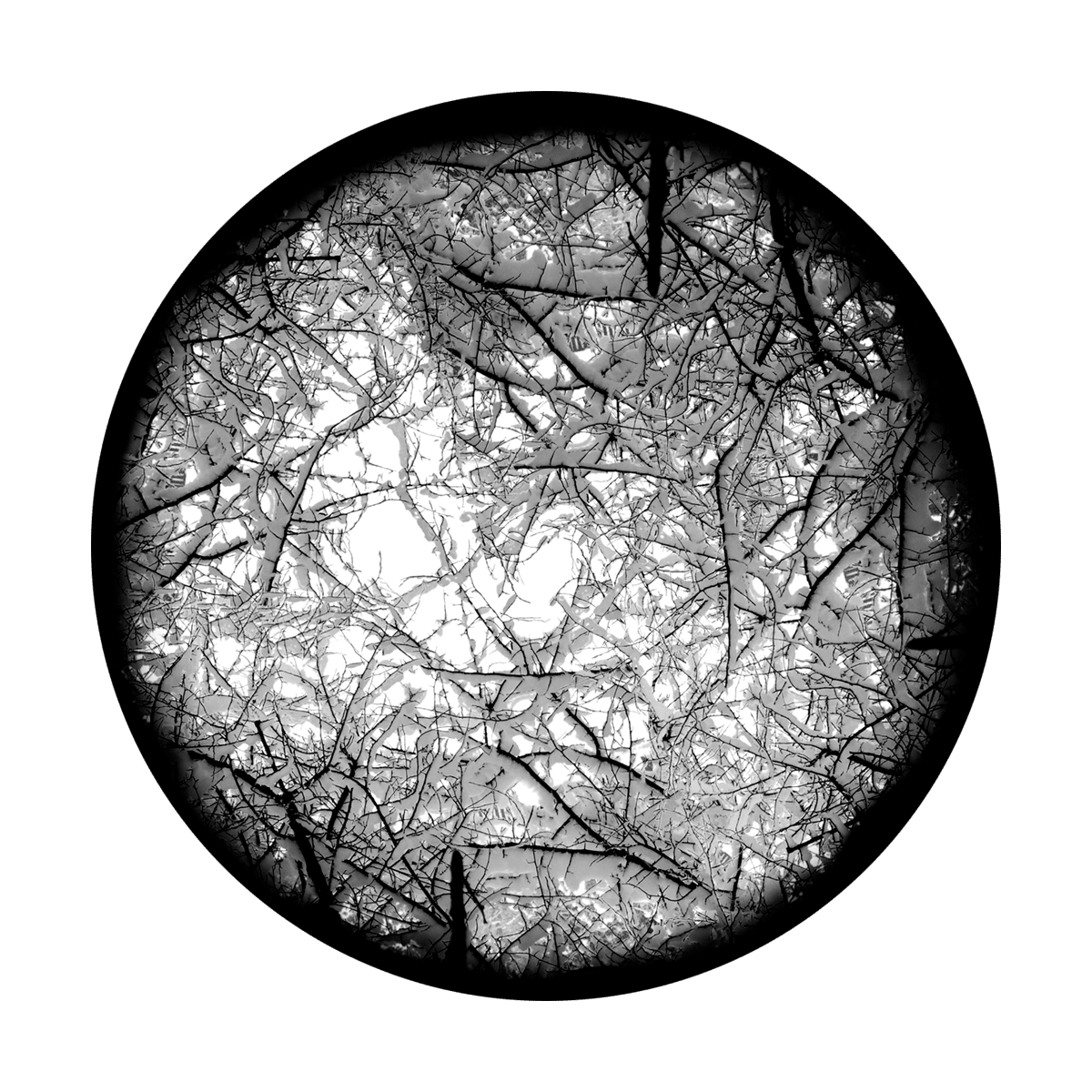 Underbrush Snow - Apollo Gobos