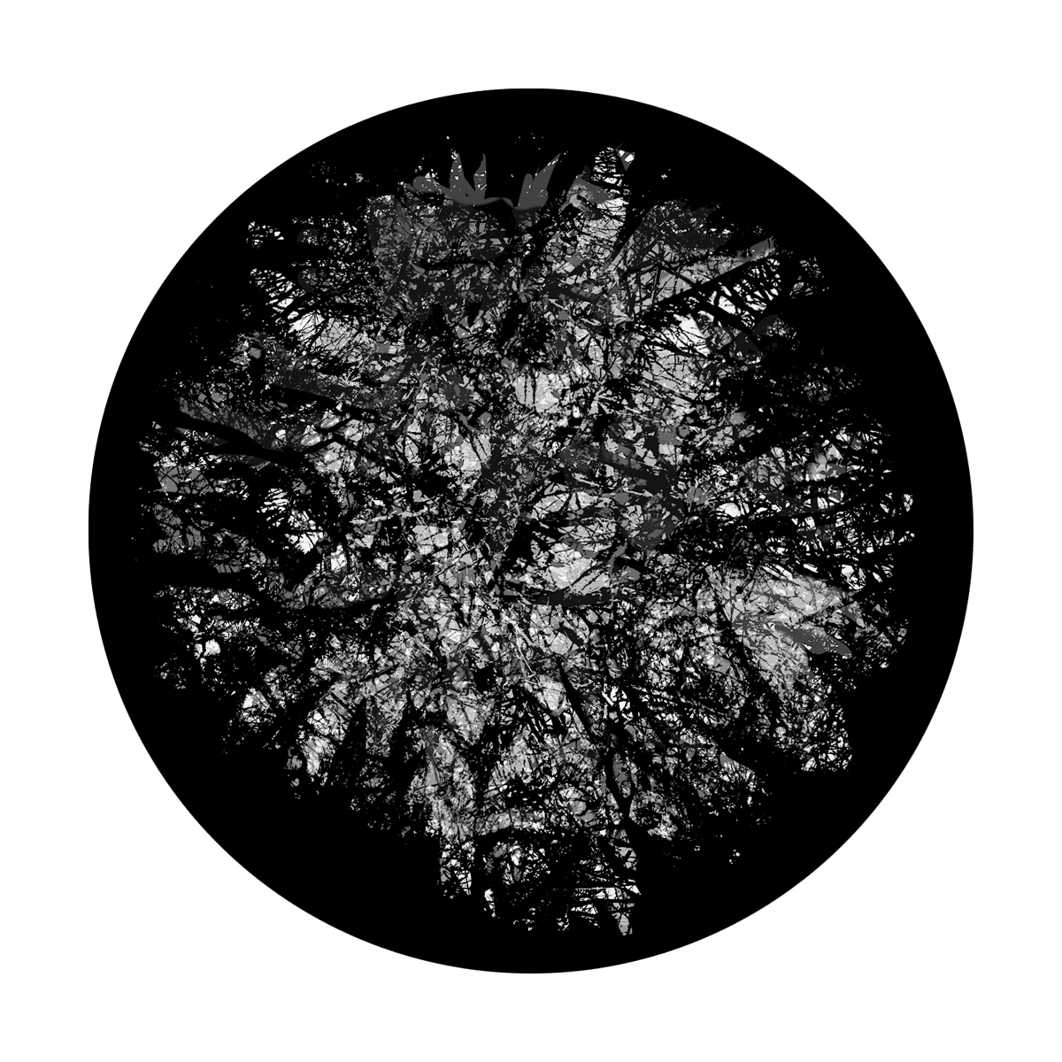 Thick Canopy - Apollo Gobos
