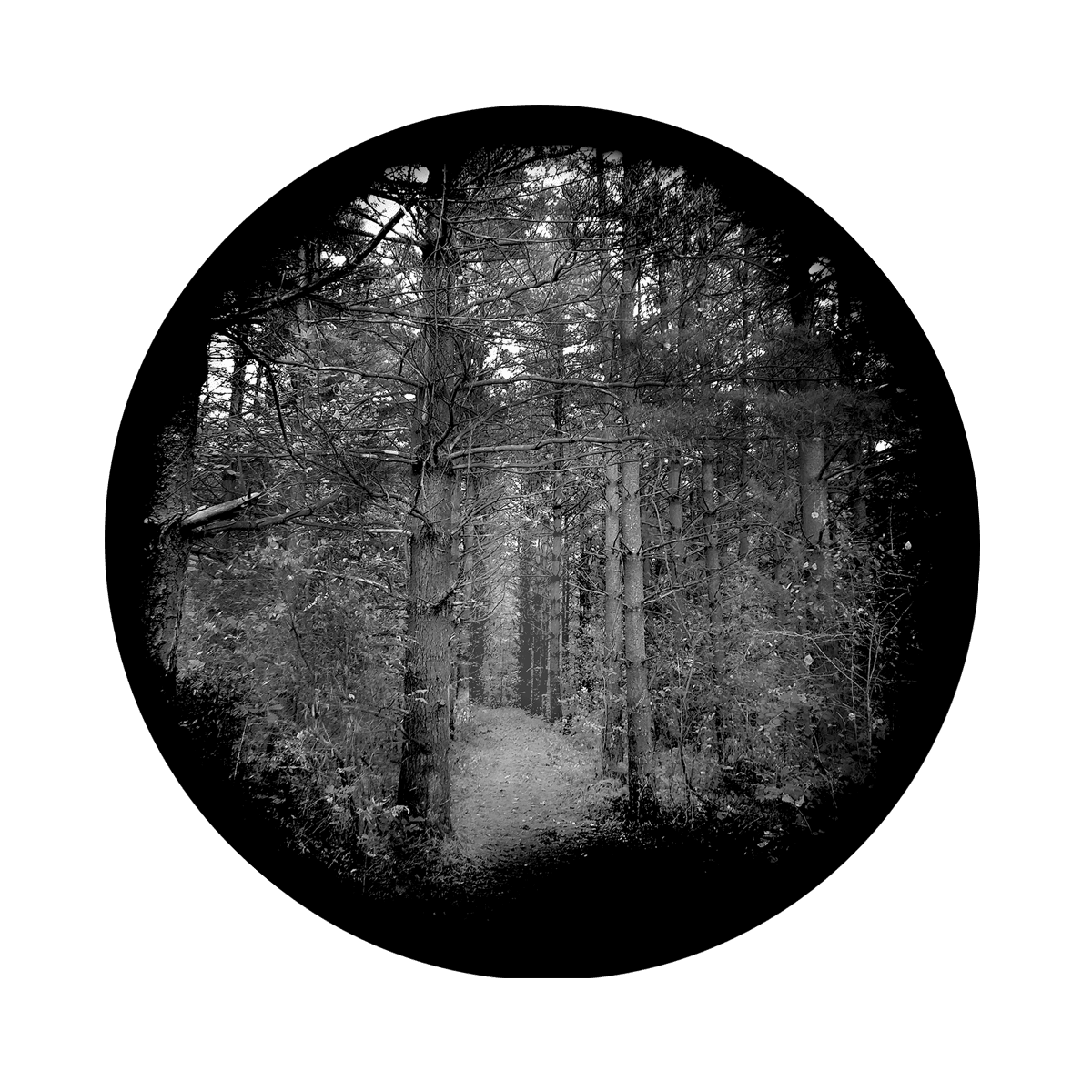 Witch Woods - Apollo Gobos