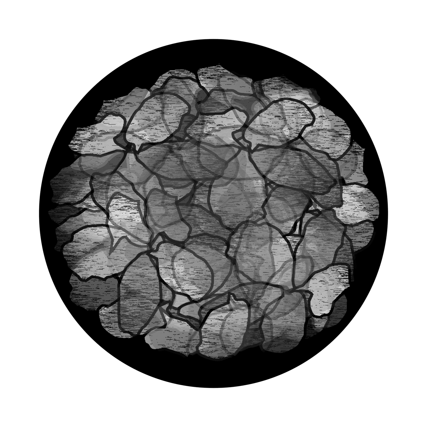 Dehydrated Potatoes - Apollo Gobos