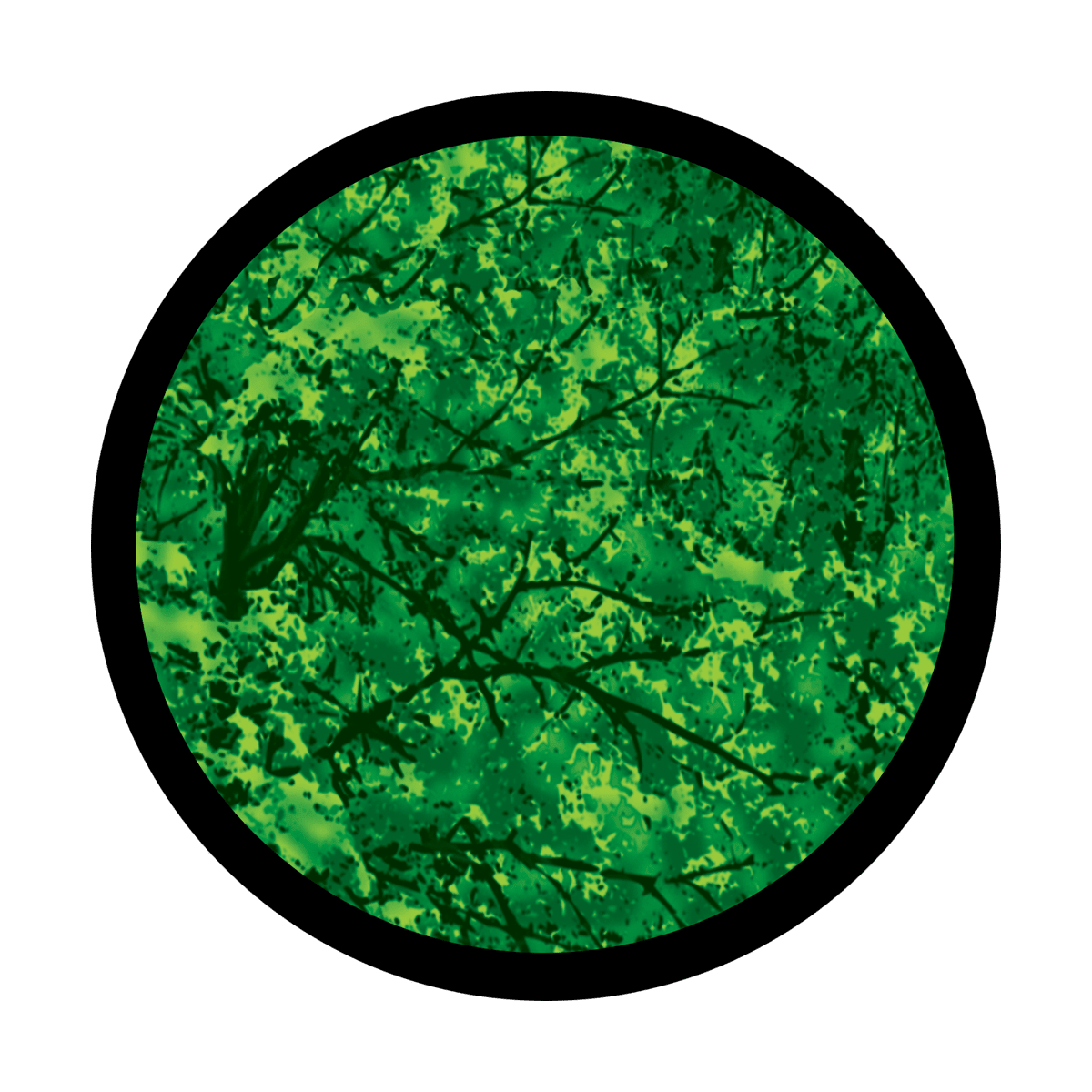 Trees Far - Apollo Gobos