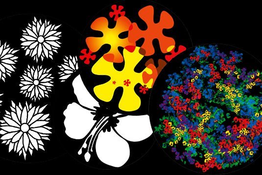Floral - Apollo Gobos