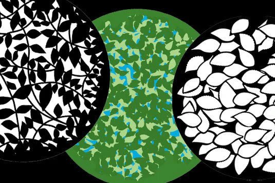 Foliage/Leaves - Apollo Gobos