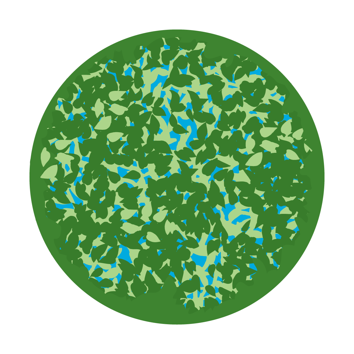 Dappled Leaves