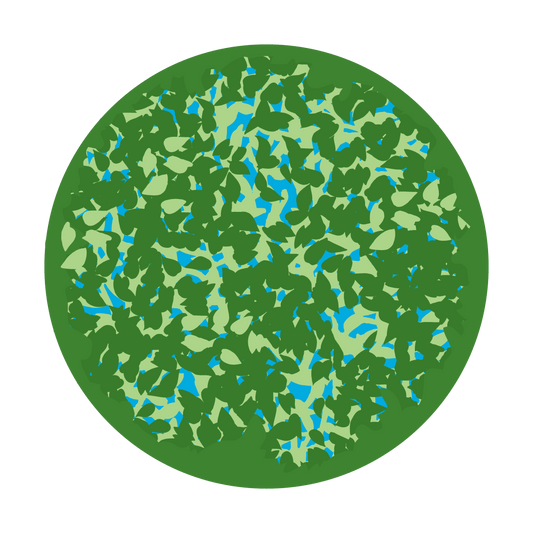 Dappled Leaves