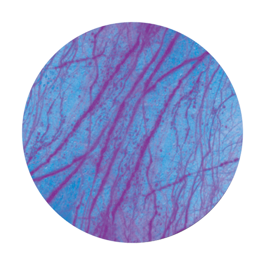 Tissue