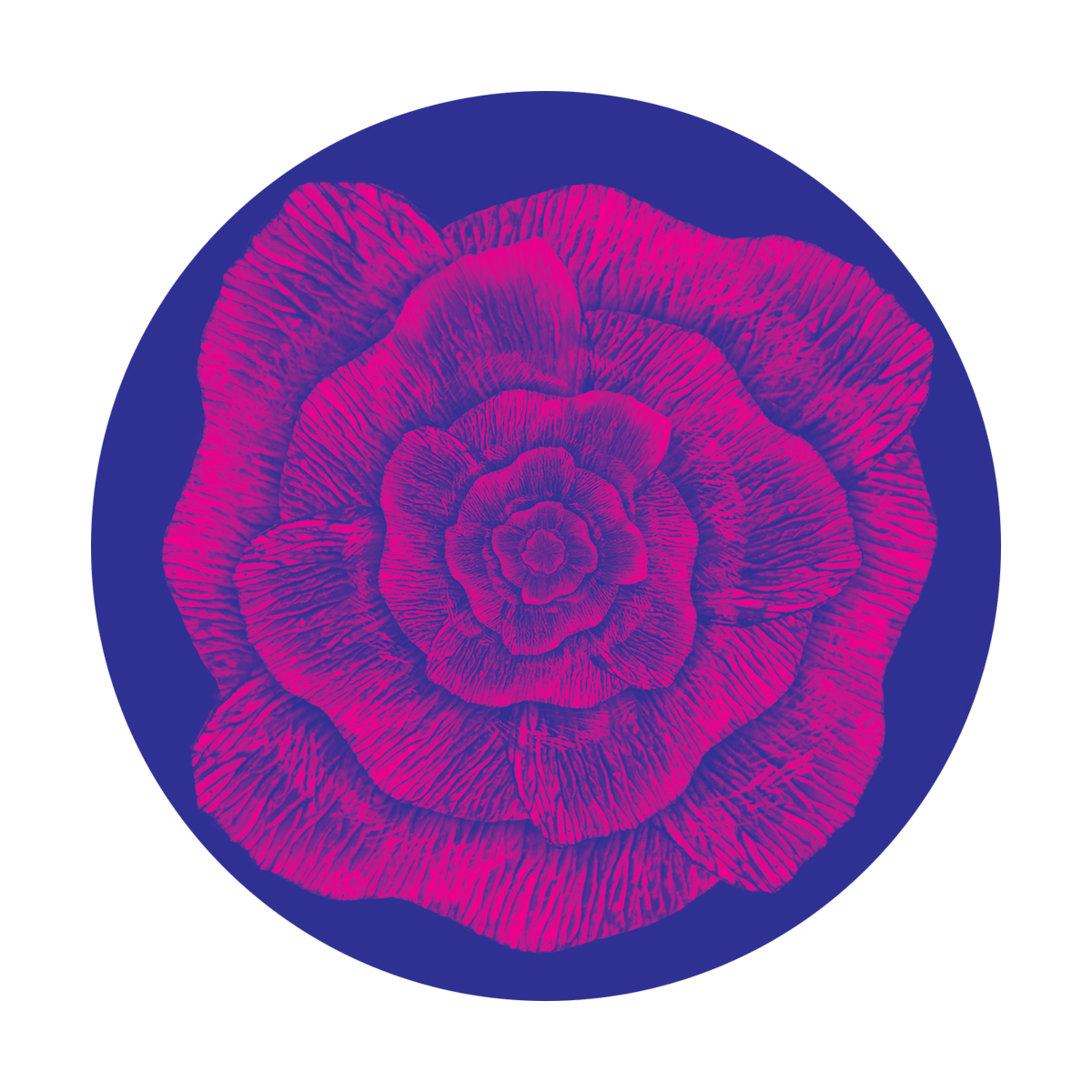 Artistic Flower