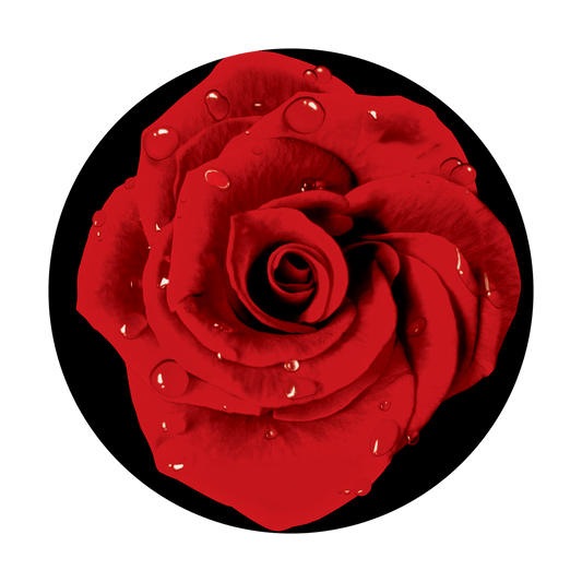 Red Rose