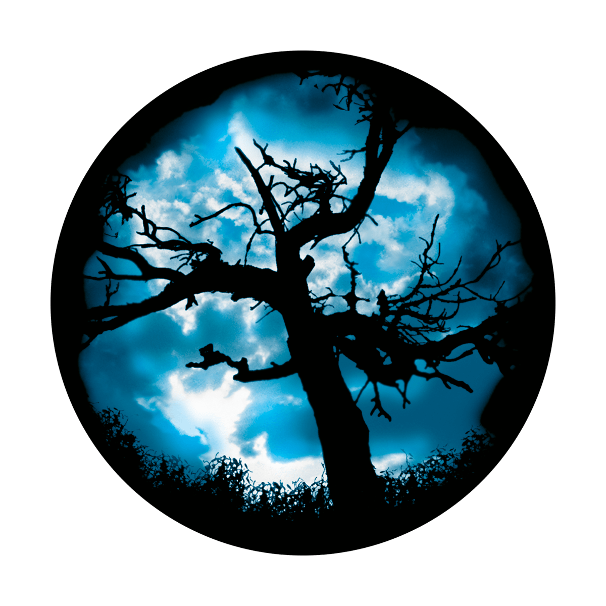 Twilight Tree
