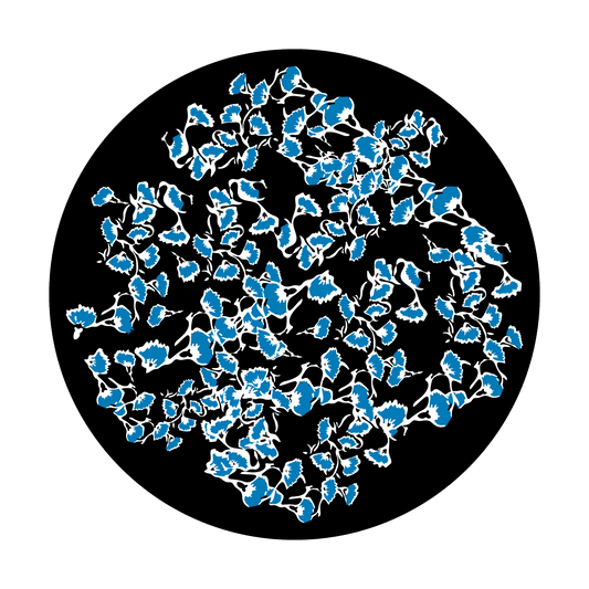 Branchy Bunch