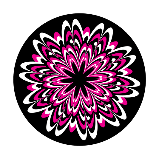 Flower Burst