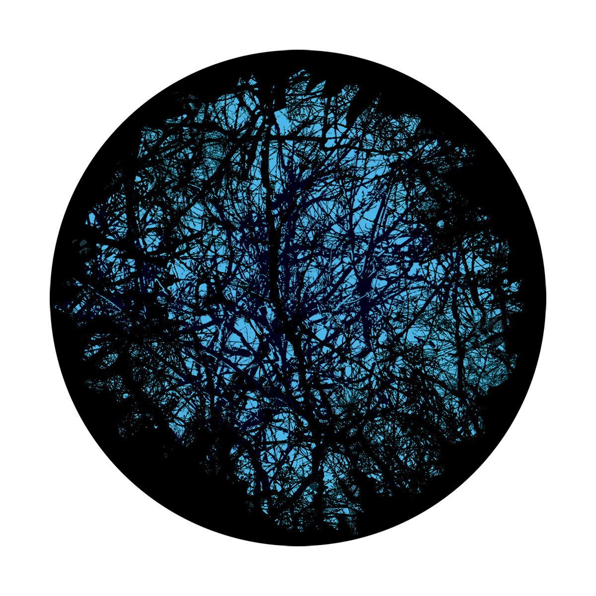 Deep Forest