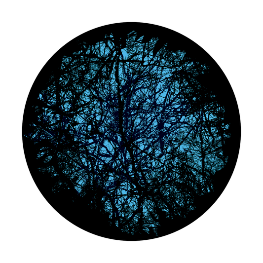 Deep Forest