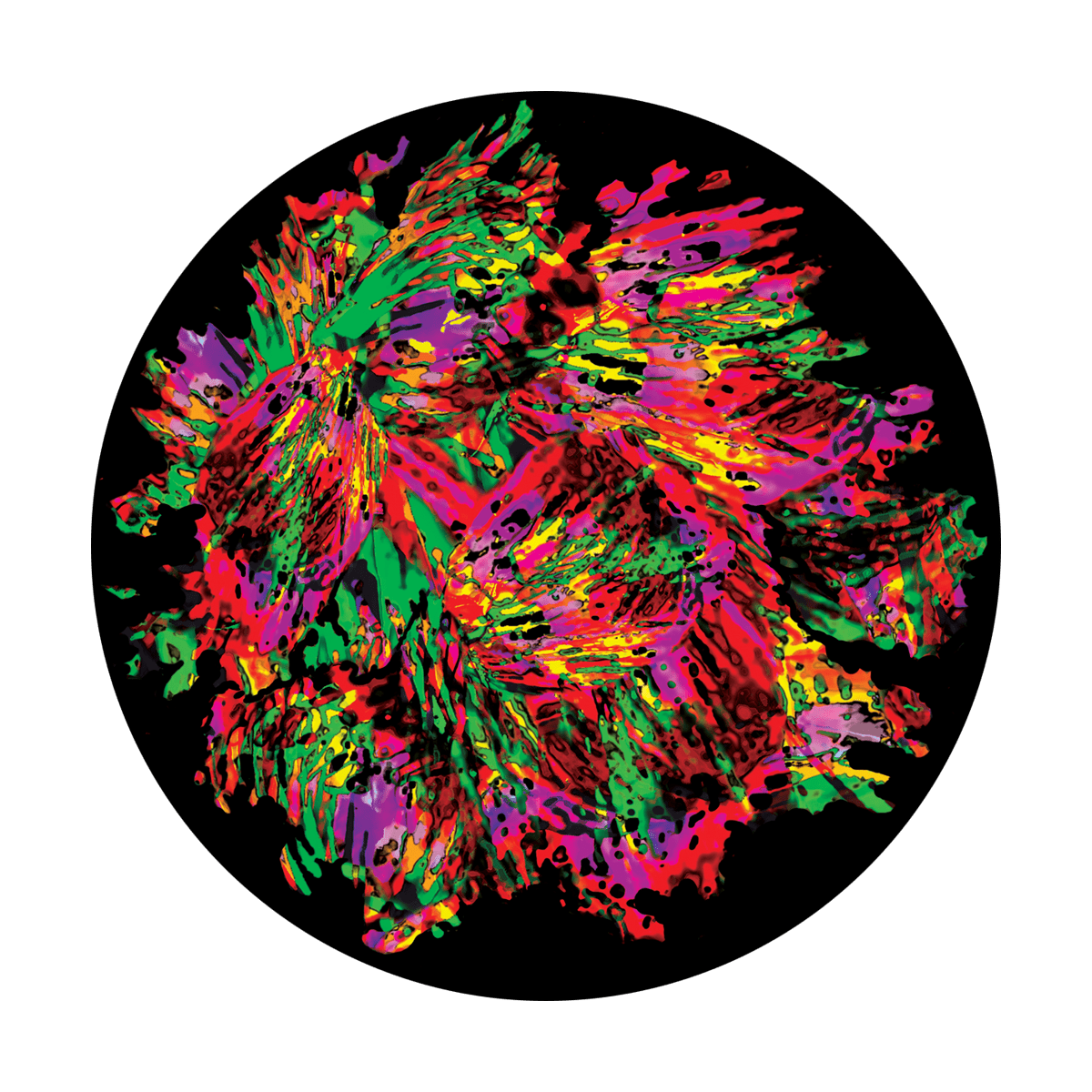Paint Splatters