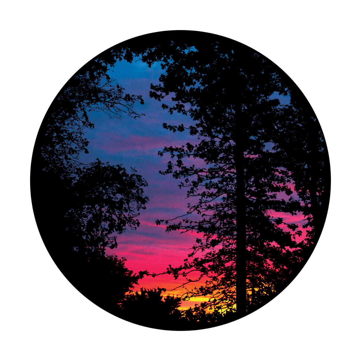 Romantic Evening