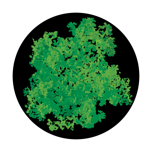 Impressionist Foliage