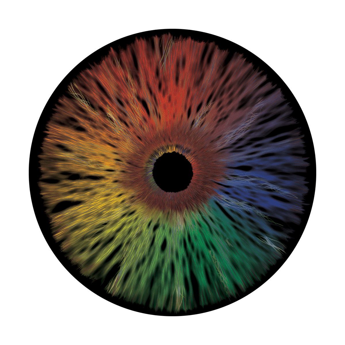Wild Static Eye