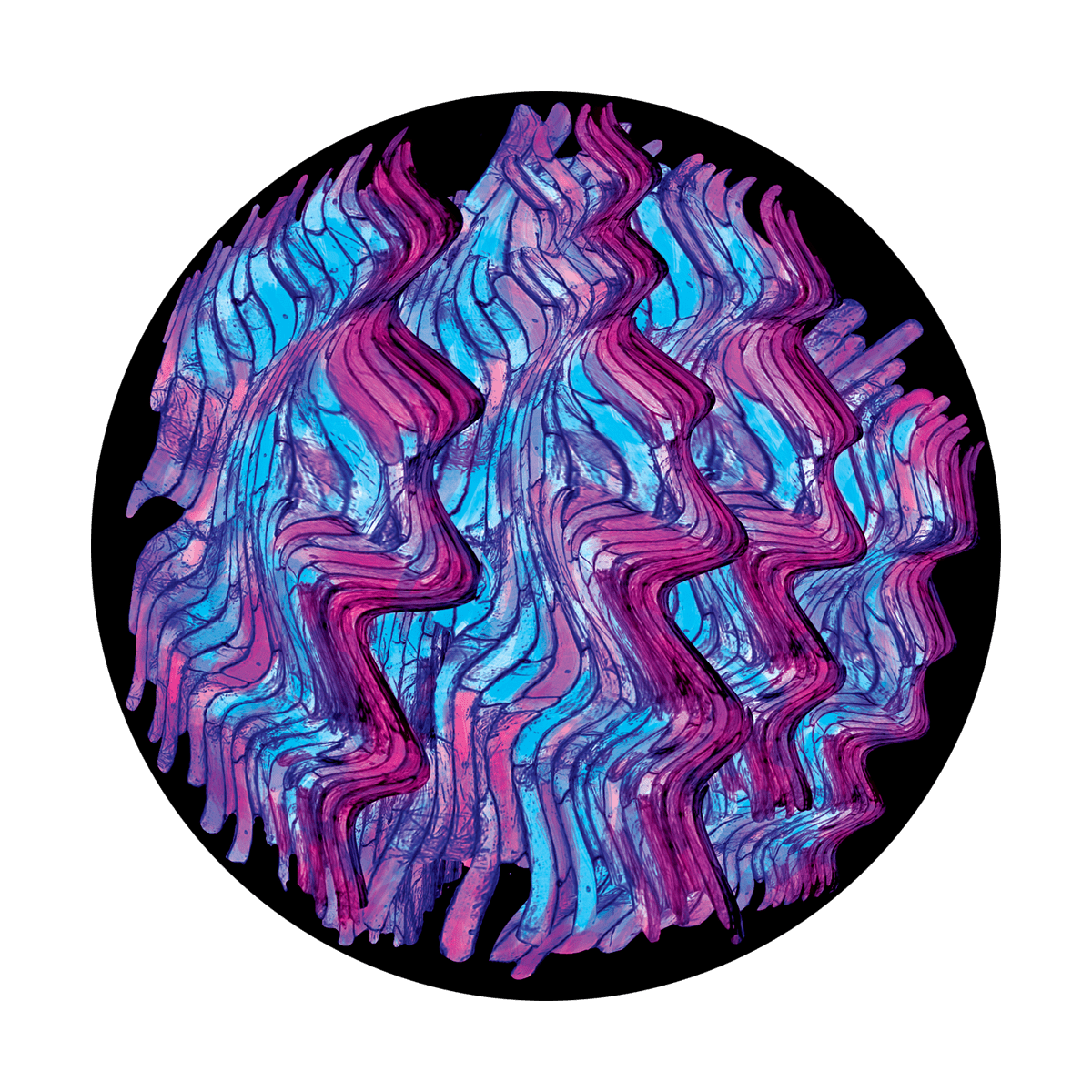 Onion Skin
