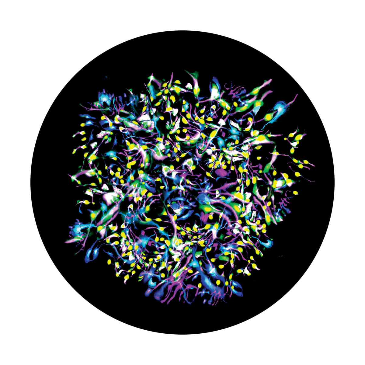 Color Electric