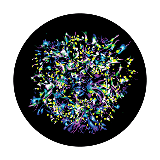 Color Electric