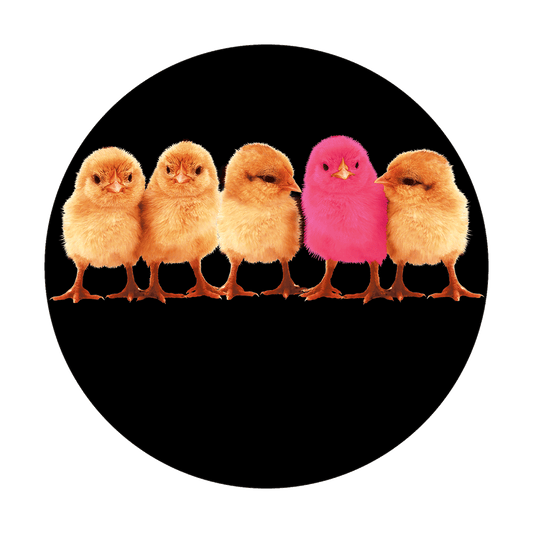 Chicks