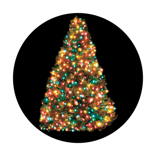 All Lit Up