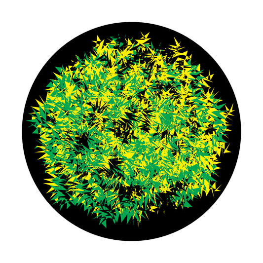 Citrus Blast